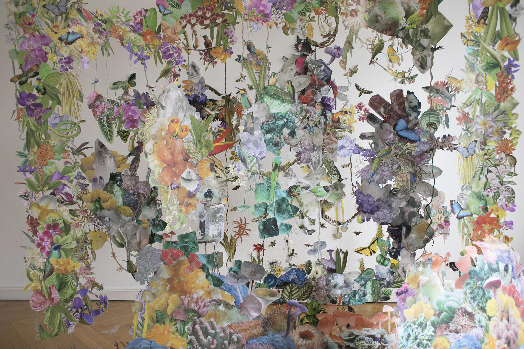 Biodiversity